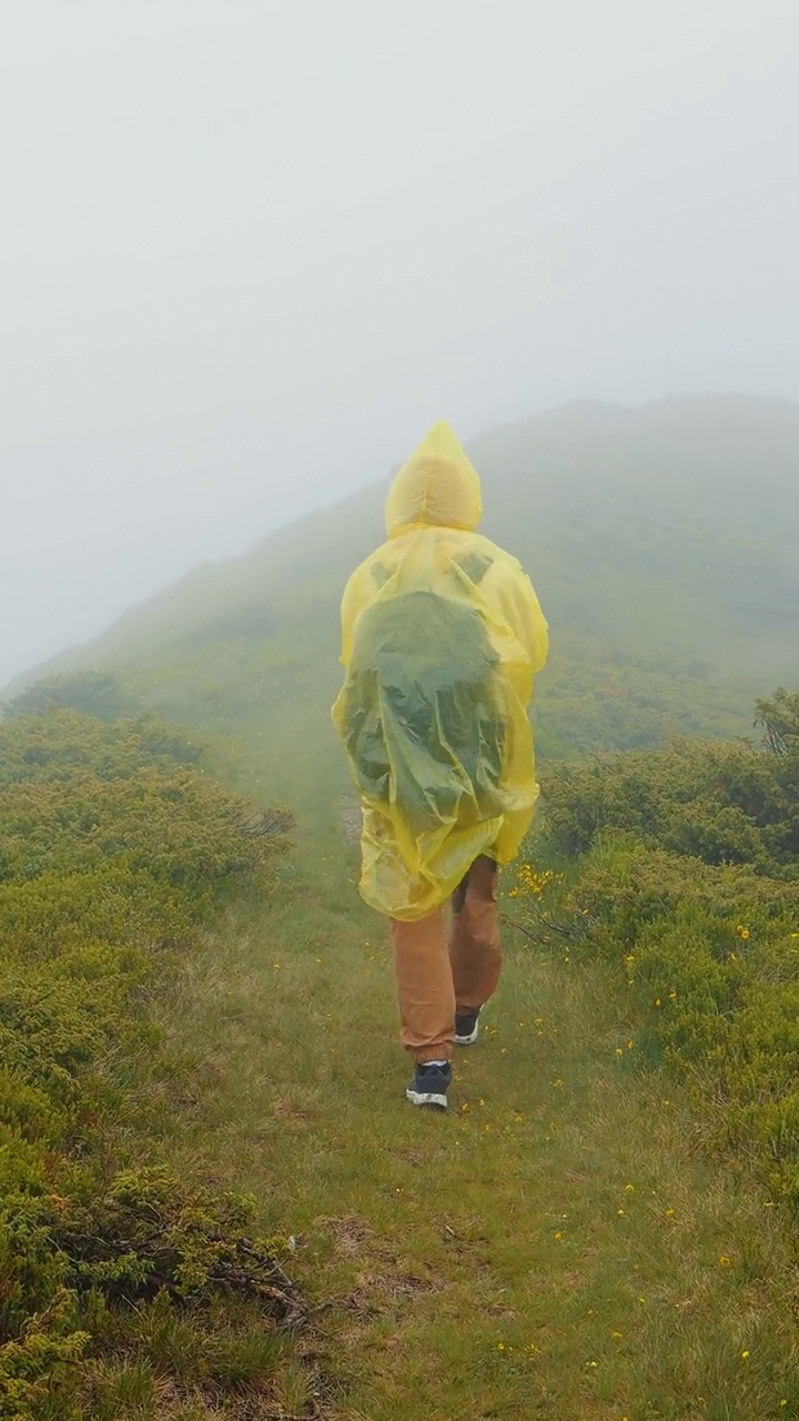 垂直屏幕Eoman徒步旅行者在雾蒙蒙的多雨的风景中探索自然。视频素材