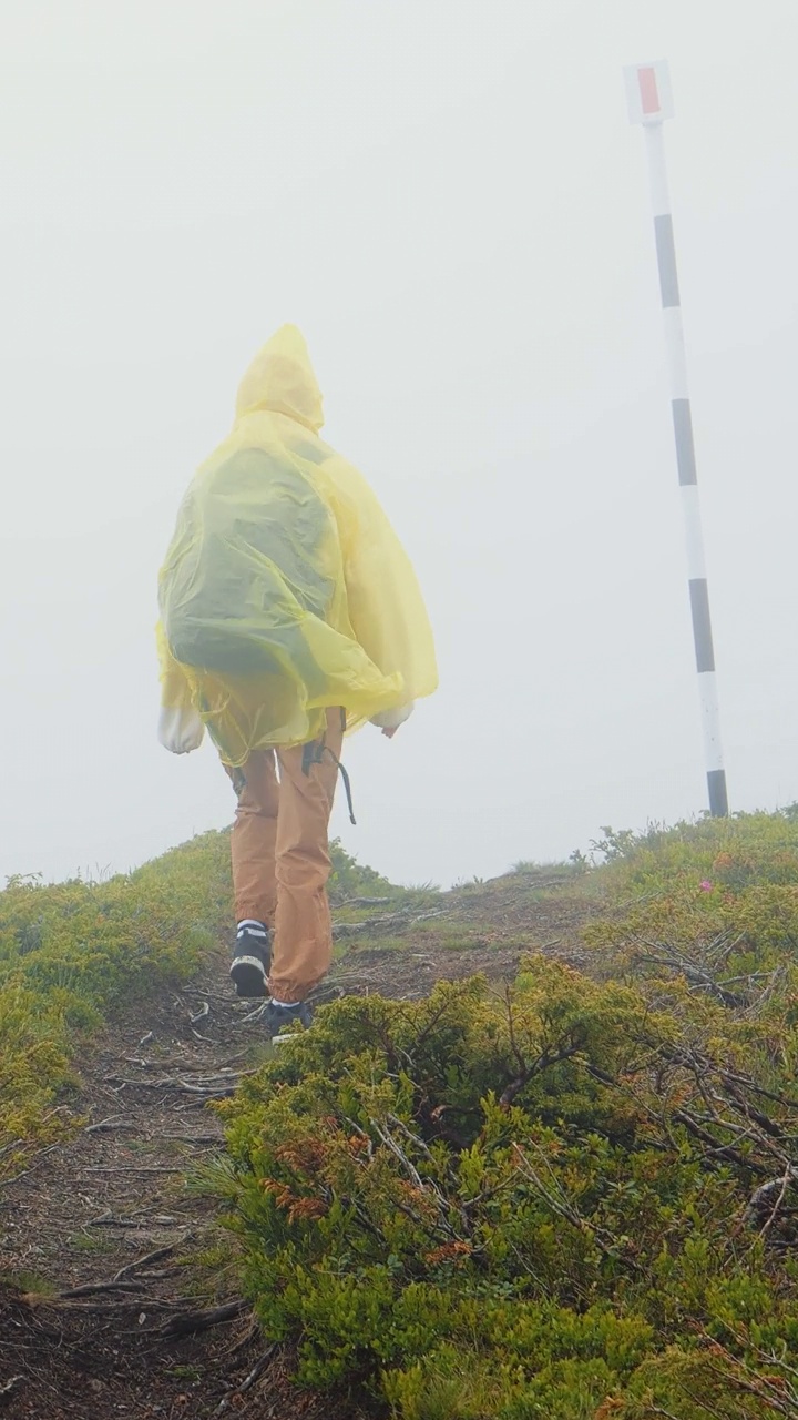 女性徒步旅行者在雾蒙蒙的雨中探索自然。视频素材