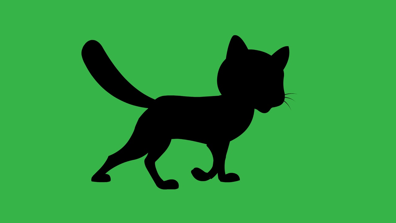 黑猫在绿色背景上行走的动画剪影。视频素材