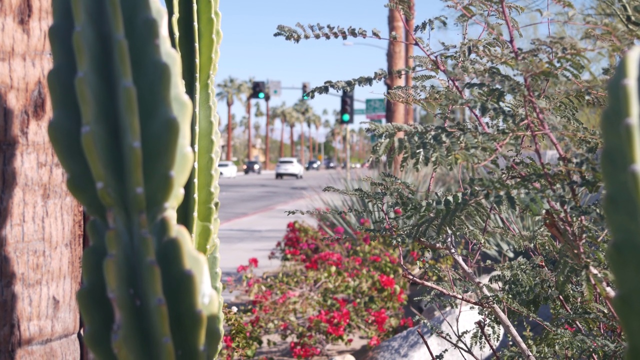 棕榈树，鲜花和仙人掌，棕榈泉市街道，加州公路之旅。视频下载