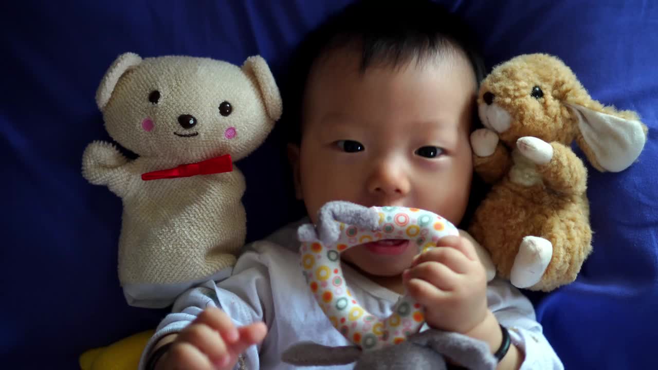 宝宝与熊和兔子毛绒玩具视频素材