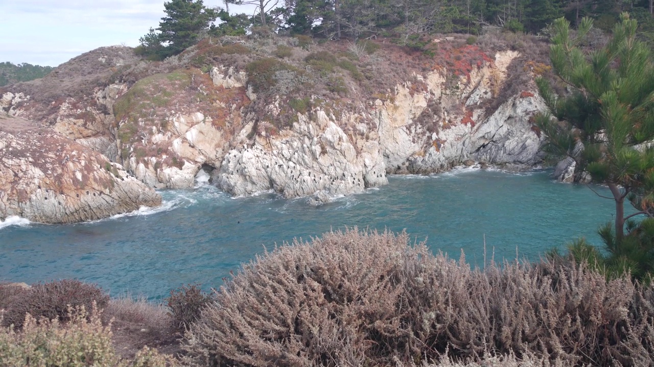 针叶松柏树，岩石，峭壁或悬崖，海洋海滩，加利福尼亚海岸视频下载