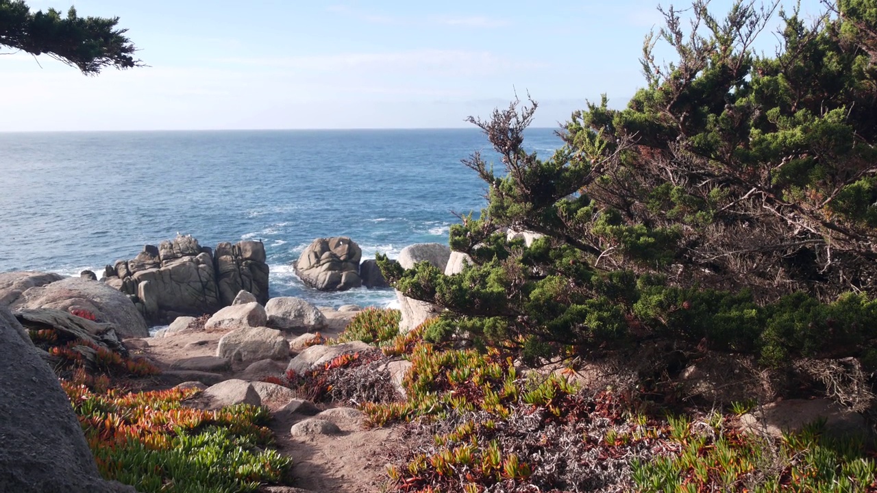 岩石海岸，海浪，柏松树，17英里车程，蒙特利，加利福尼亚视频下载