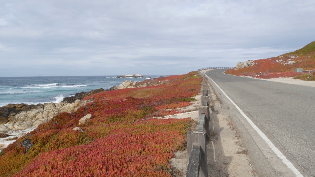 加州蒙特利，17英里的风景公路，海浪。多汁的植物。视频下载