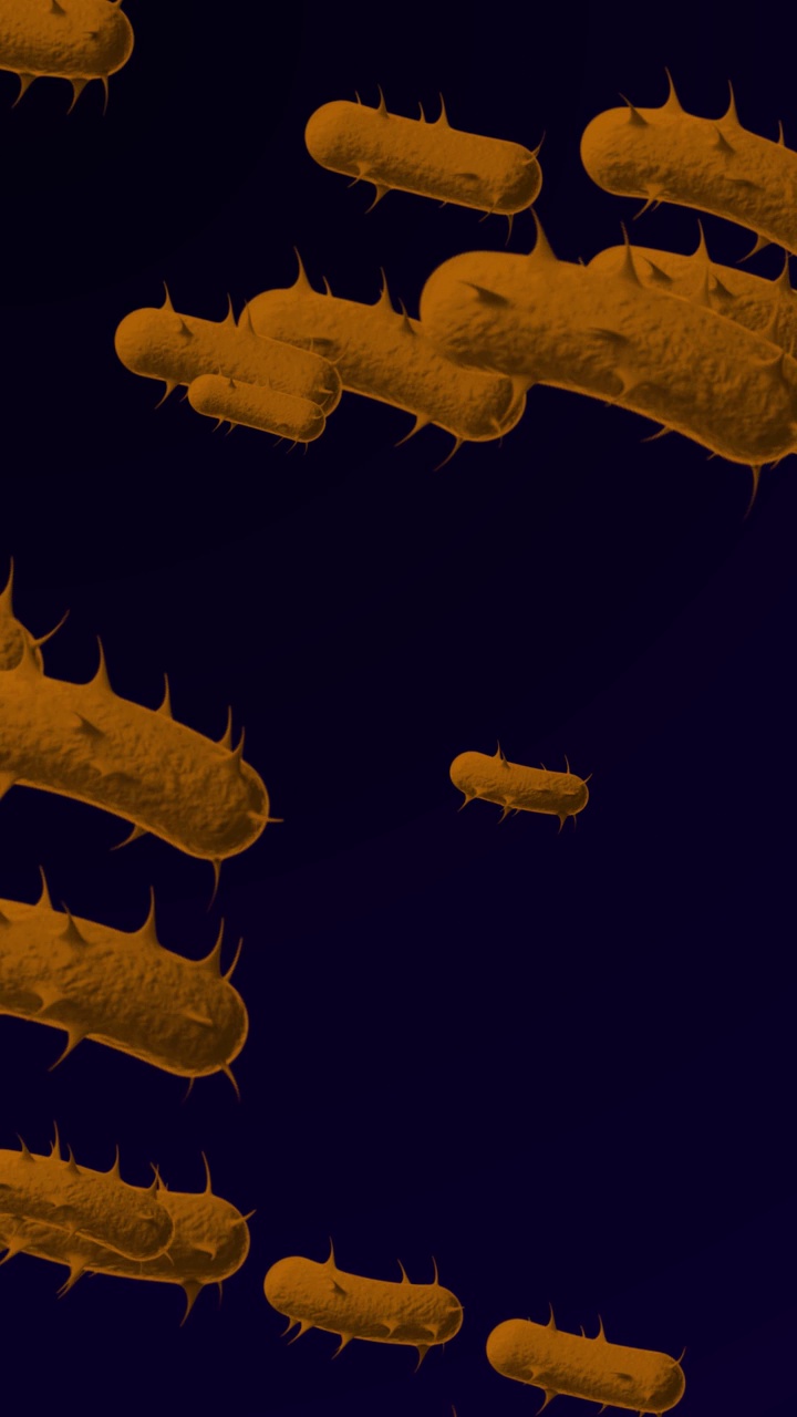 通过电子显微镜看到的细菌- 4K显微镜细菌医学背景-循环，可循环的细菌-漂浮的大肠杆菌-细菌-细菌-三维动画的细菌-细菌特写-发光的细菌-橙色-黑色背景视频下载