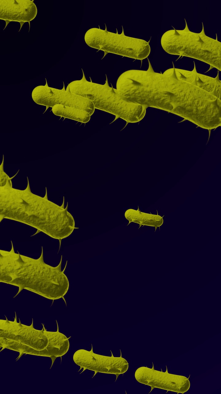 通过电子显微镜看到的细菌- 4K显微镜细菌医学背景-循环，可循环的细菌-漂浮的大肠杆菌-细菌-细菌-三维动画的细菌-细菌特写-发光的细菌-黄色颜色-黑色背景视频下载