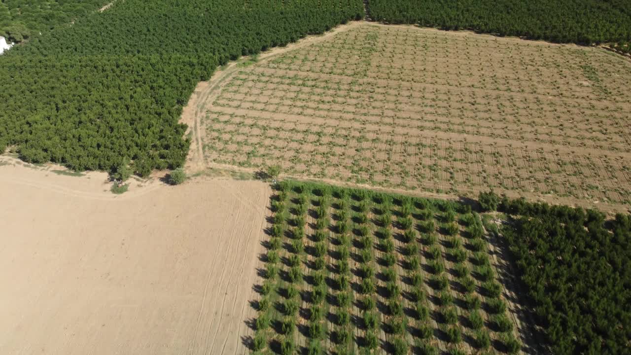 农业智能耕作技术——工业4.0。概念收获和种植技术和智能农业视频下载
