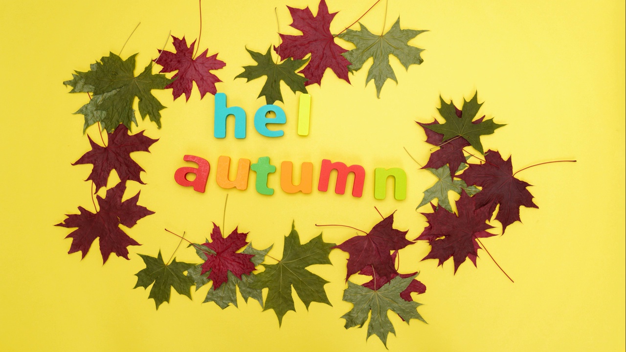 你好秋天的作文，秋天的叶子在黄色的背景。欢迎秋天。停止运动视频下载
