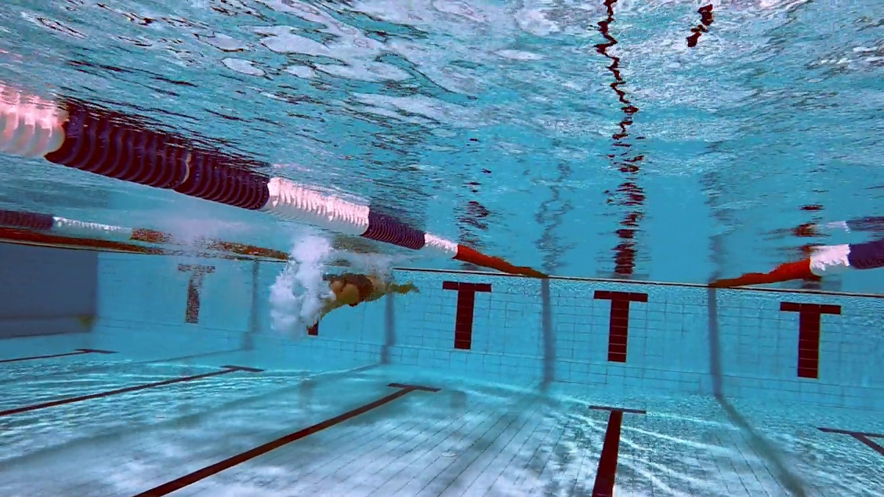 赤膊熟练运动员游泳水下游泳池视频下载