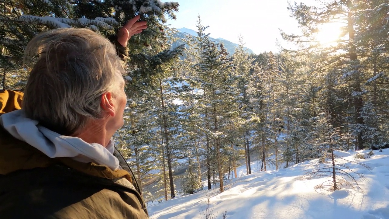 一个成熟的男人沿着白雪皑皑的山脊穿过针叶树视频素材