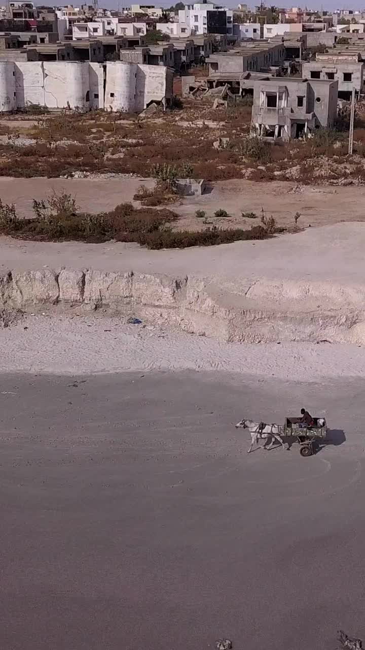 马和马车在海滩上奔跑的垂直视频，沿海岸的居民区视频下载