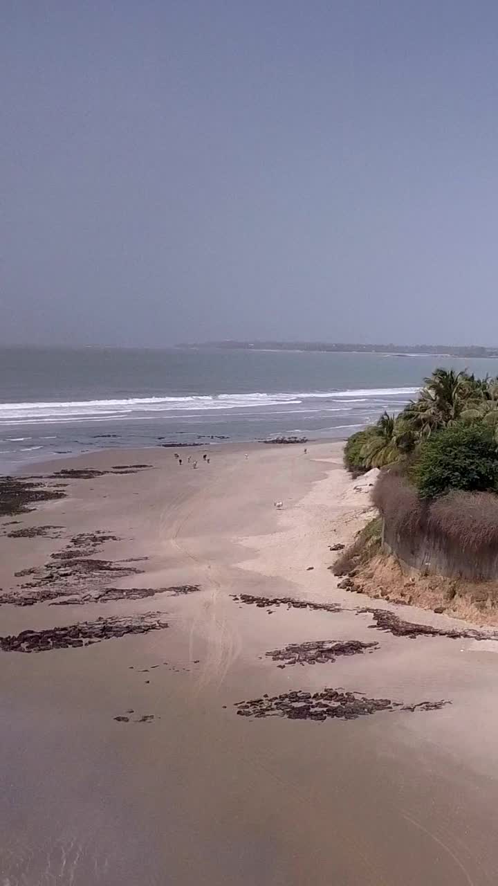 巨大的沙滩与海浪碰撞的垂直视频，沿海岸的植被和建筑物视频下载