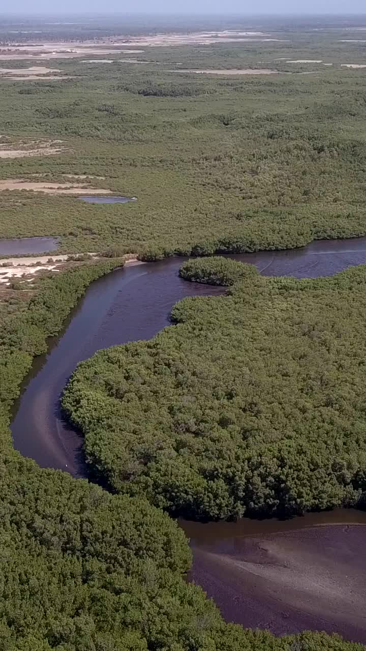 红树林沼泽，河流和沙地的垂直视频，向下走向红树林视频下载