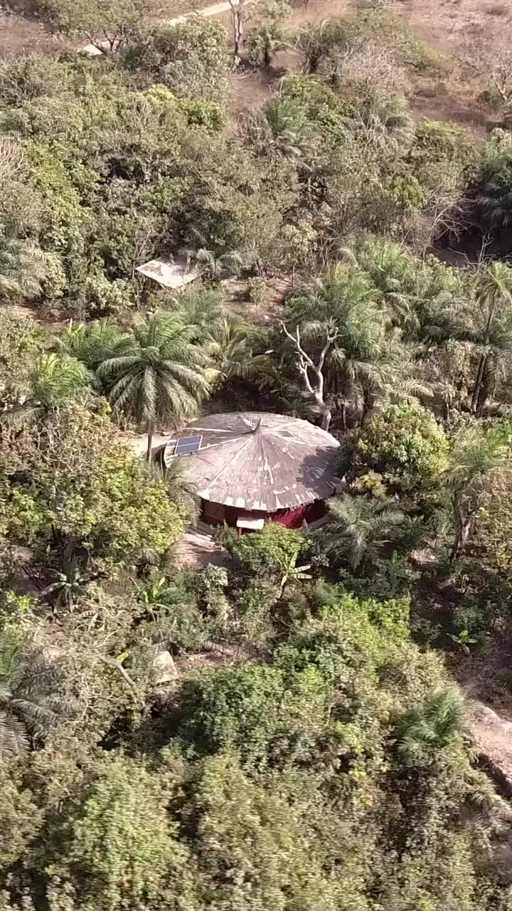热带森林小木屋的垂直视频视频下载