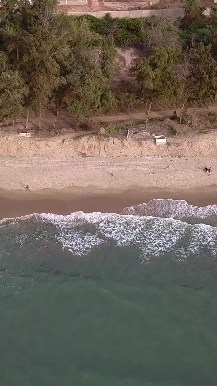 海滩的垂直视频与树木，人们散步和传统渔船视频下载