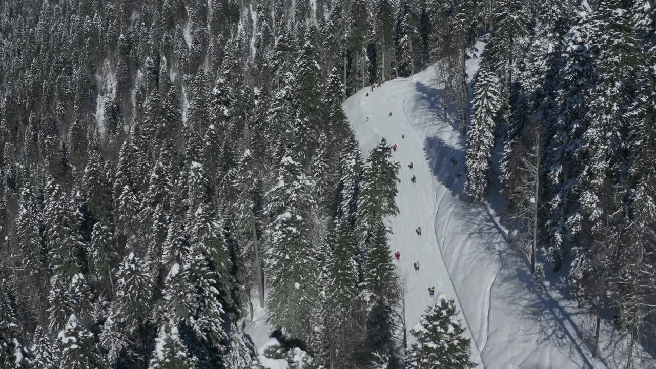 滑雪场活跃的人们骑在雪道上滑雪，单板滑雪，极限运动，高山森林鸟瞰视频下载