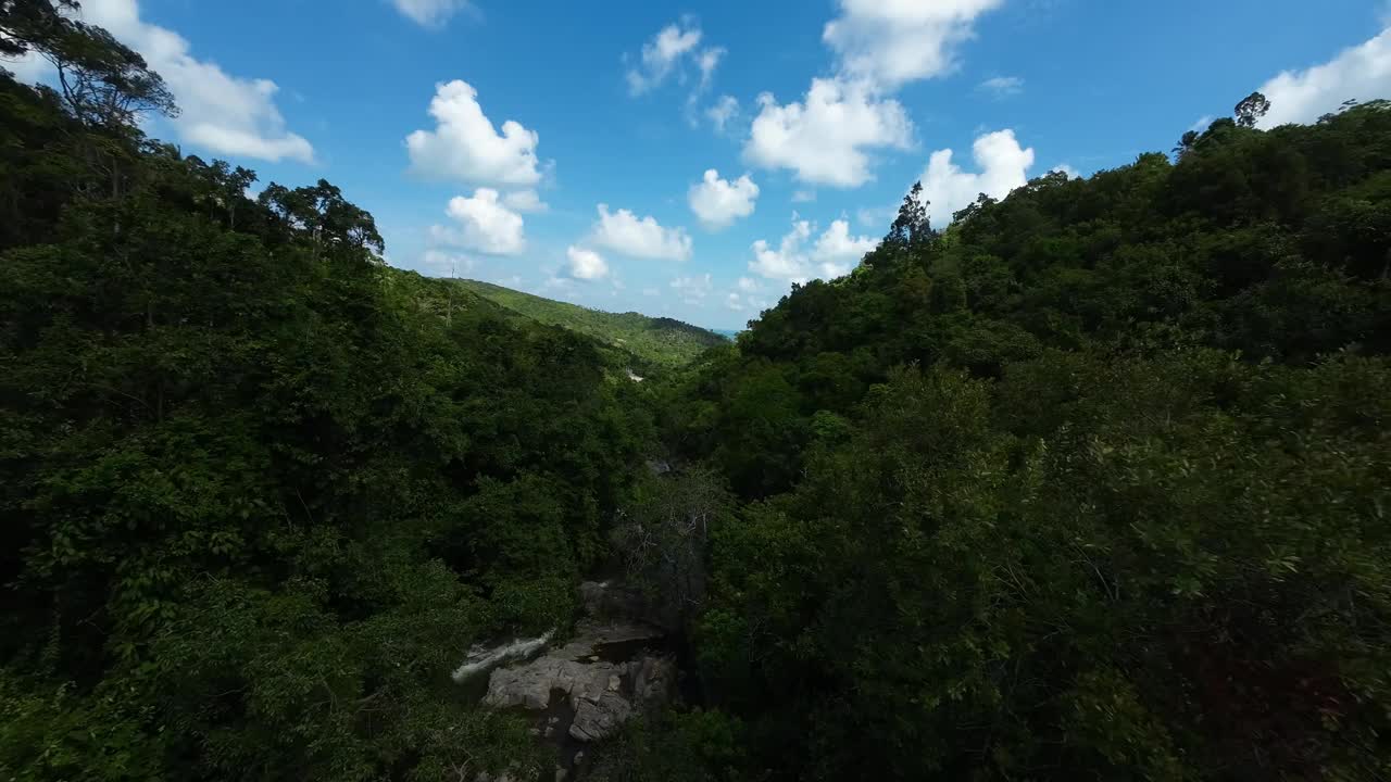 热带雨林瀑布的无人机视图视频下载