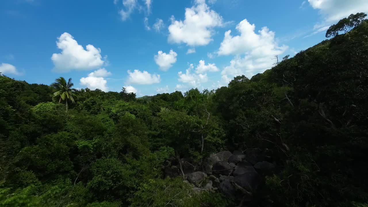 热带雨林瀑布的无人机视图视频素材
