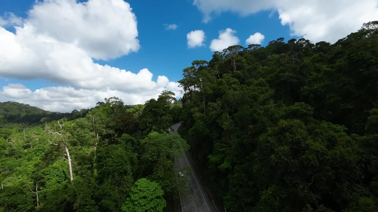 公路上的汽车和摩托车的无人机视图，周围是热带雨林视频下载