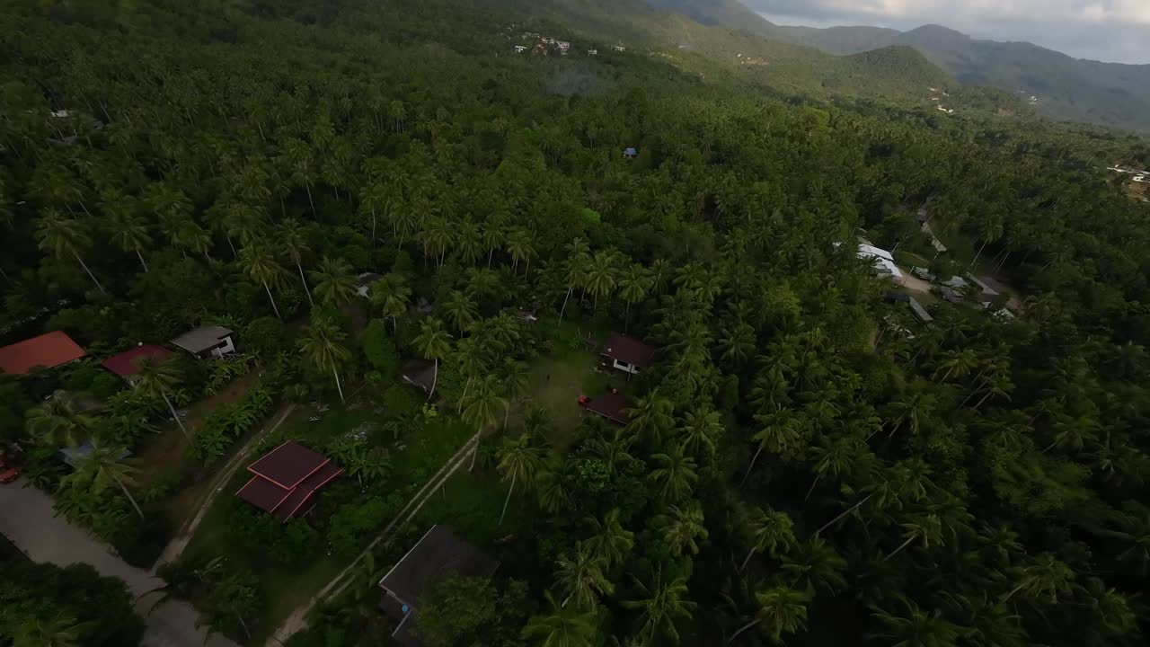 无人机俯瞰棕榈树和房屋视频下载