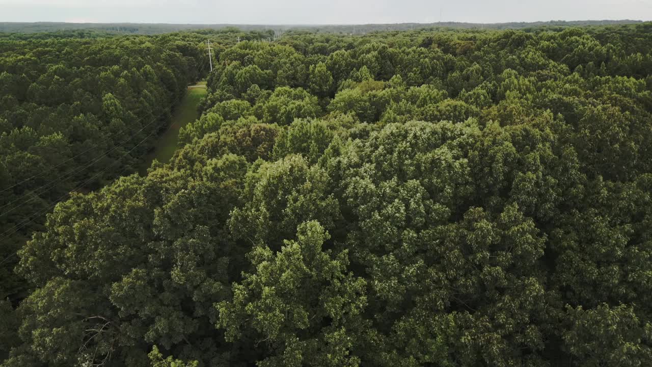 北卡罗来纳州阿拉芒斯县萨克森帕哈瓦附近树木的慢动作鸟瞰图。视频下载