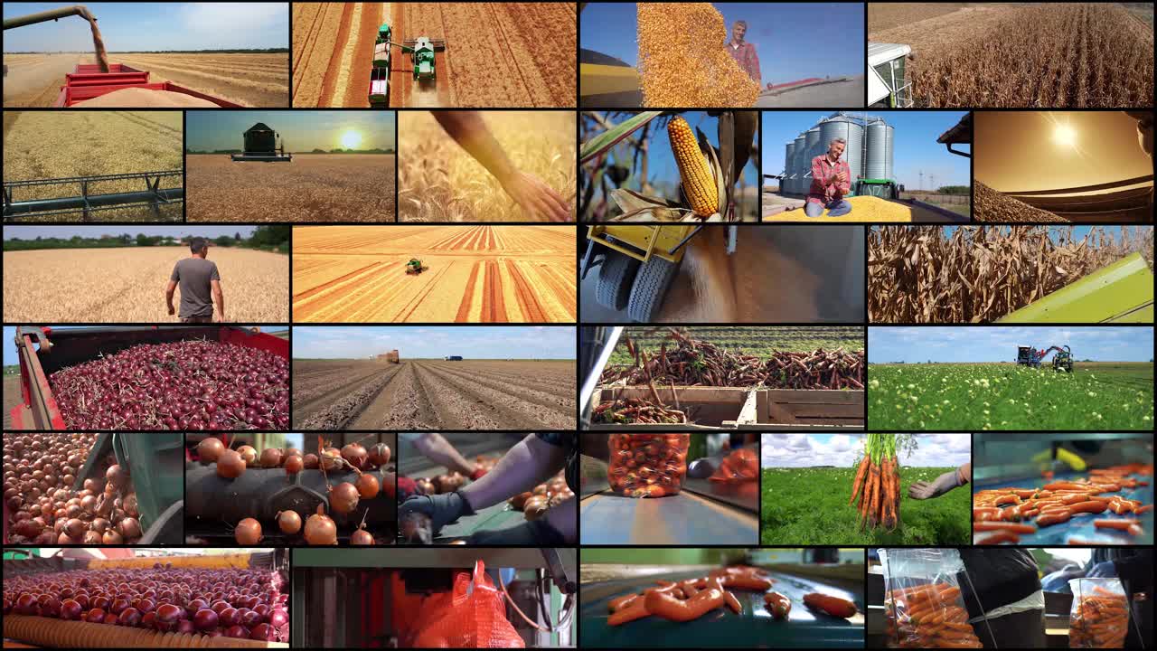 全球农业生产与国际农产品贸易视频下载