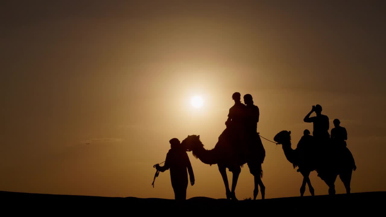 迪拜骑骆驼视频下载