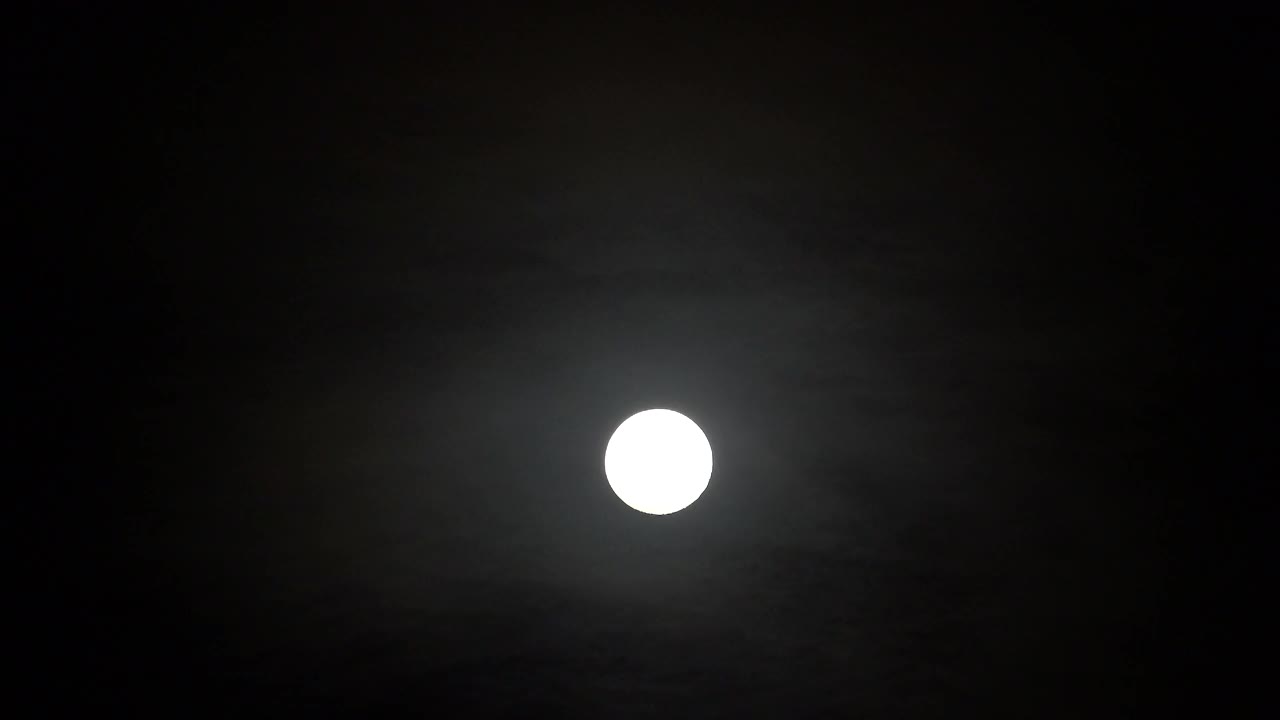 满月带着白云视频下载
