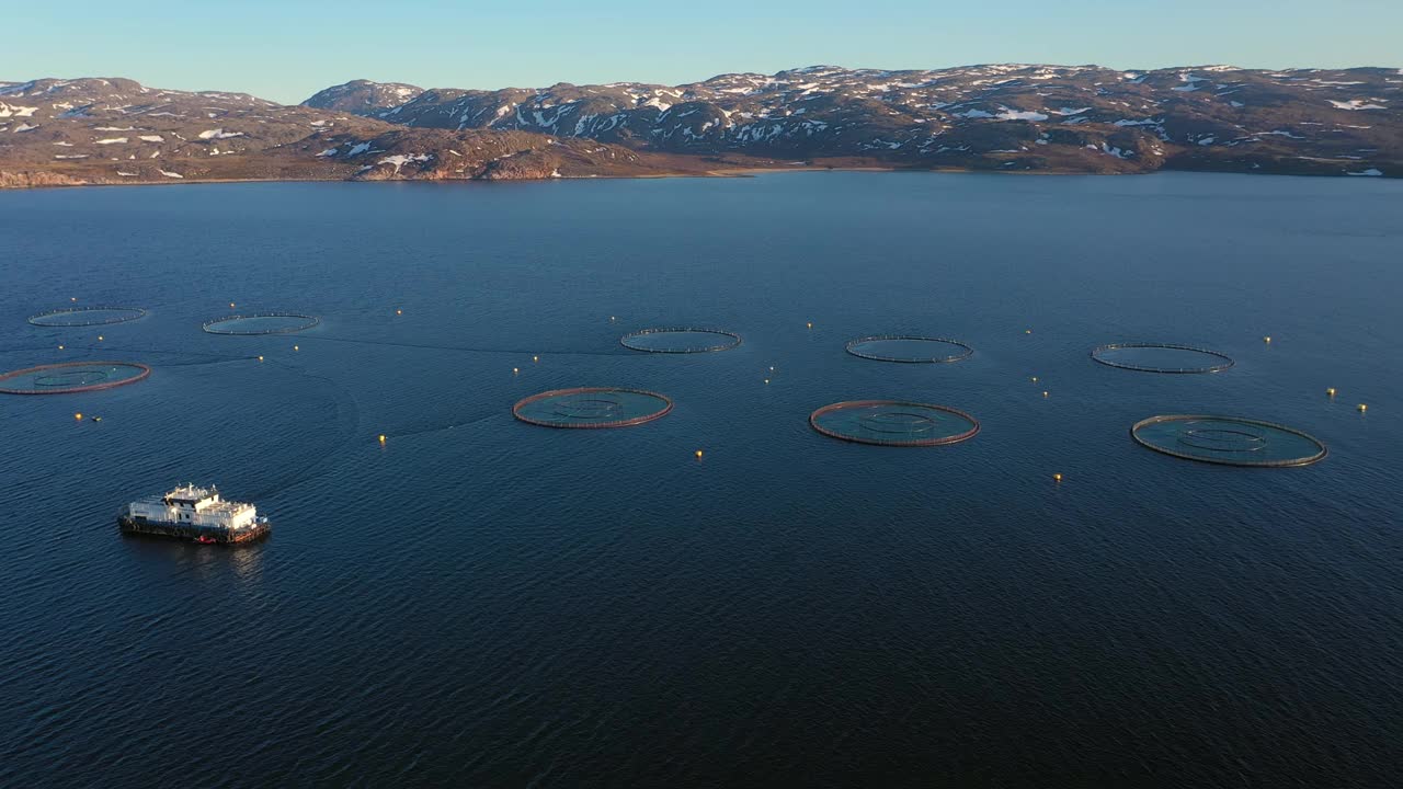 航拍挪威鲑鱼养殖场视频下载