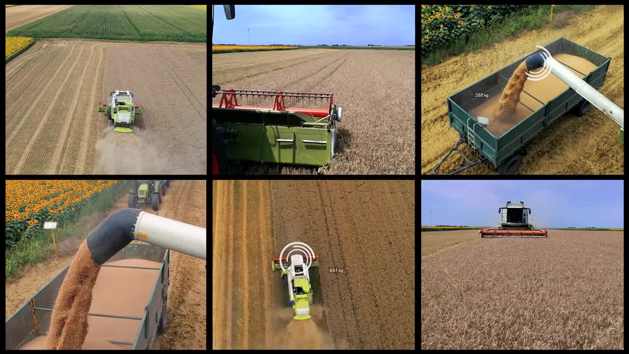 小麦和玉米生产-多屏幕视频视频素材