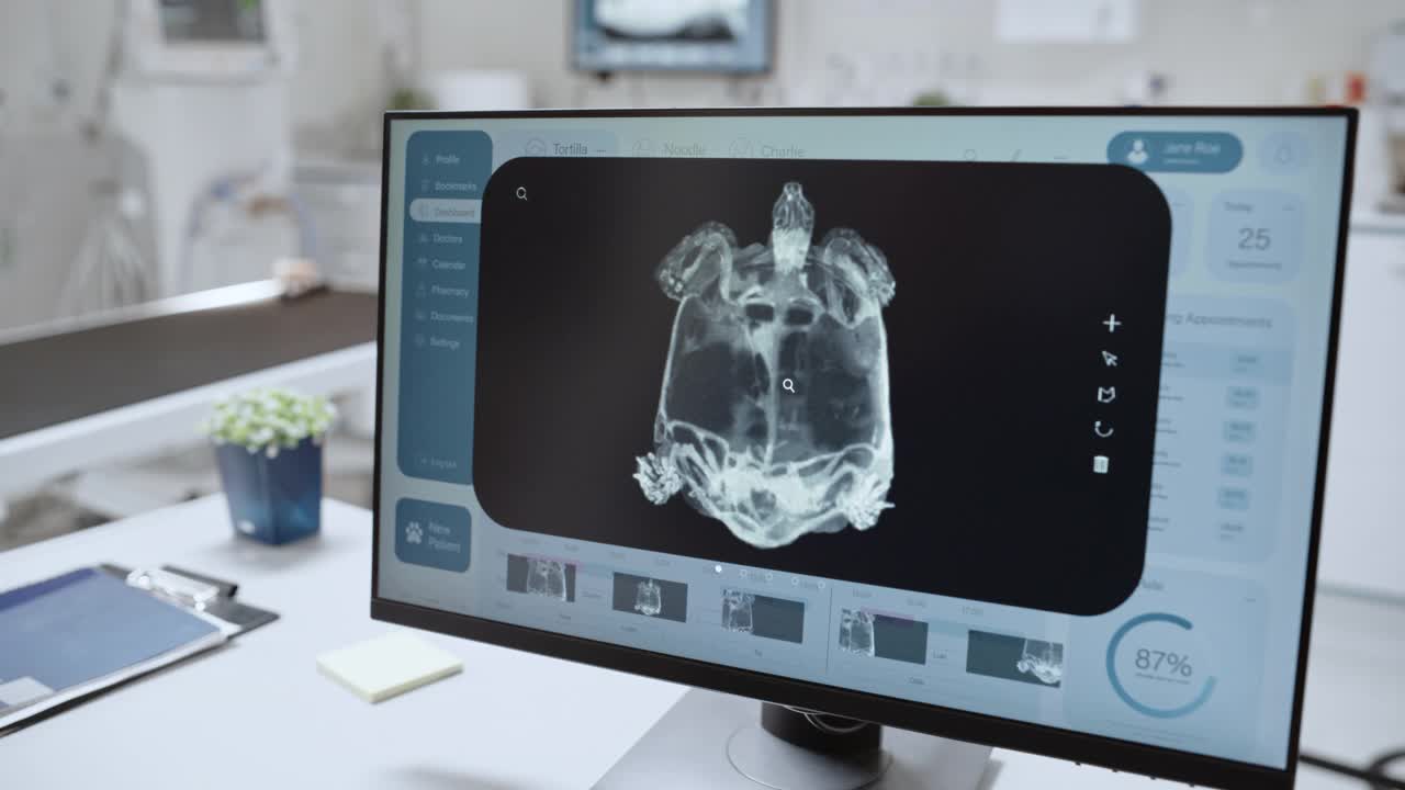 桌面计算机屏幕与兽医诊所在线医疗数据库软件与宠物龟x光扫描。两个兽医在讨论工作，用手势和手指着显示器视频下载