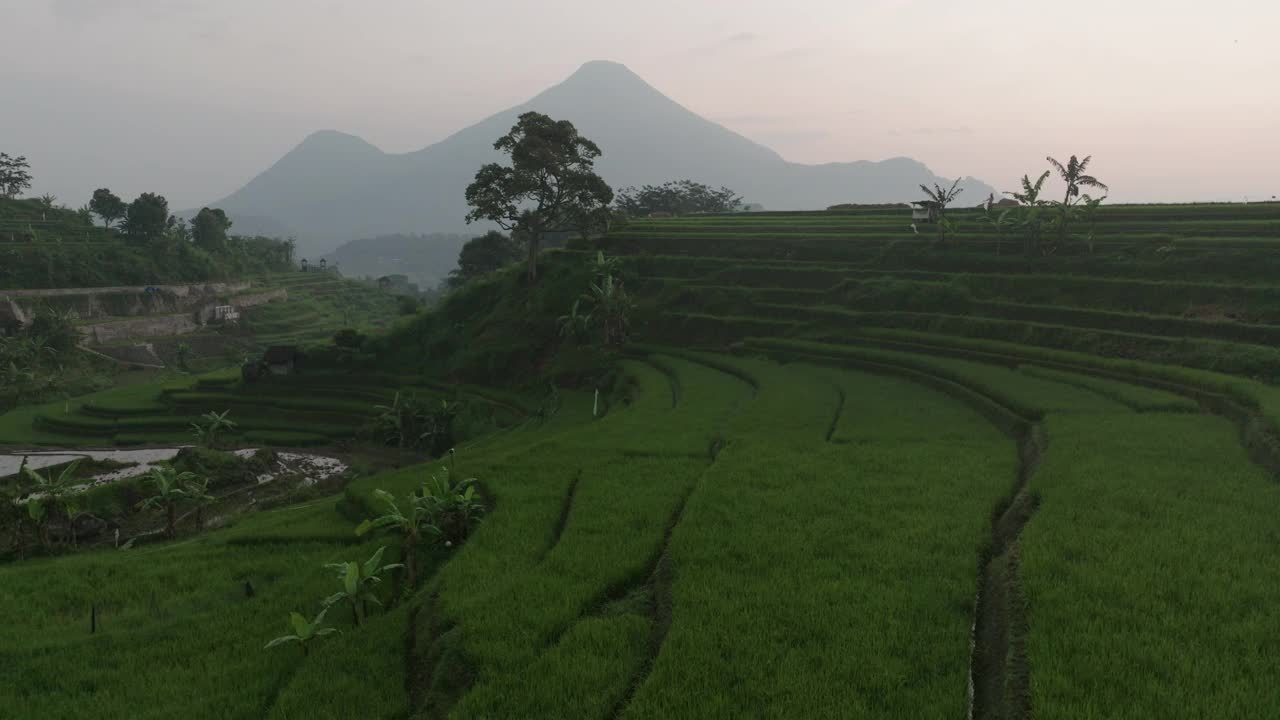 在日落期间山上的结构的空中上升镜头，无人机在日落期间飞越梯田-爪哇，印度尼西亚视频素材
