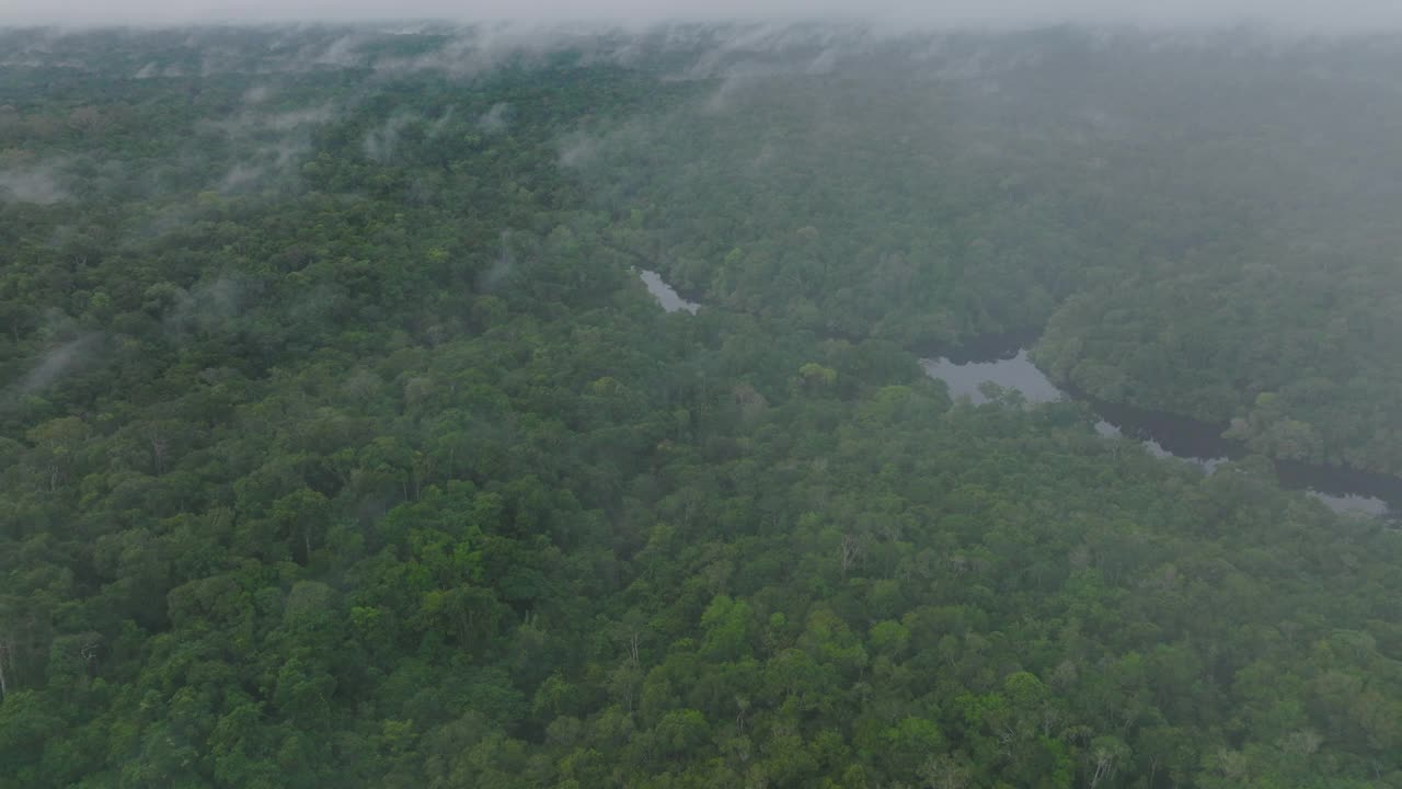 在宁静的亚马逊雨林中的河流航拍向前-玛瑙斯，巴西视频下载