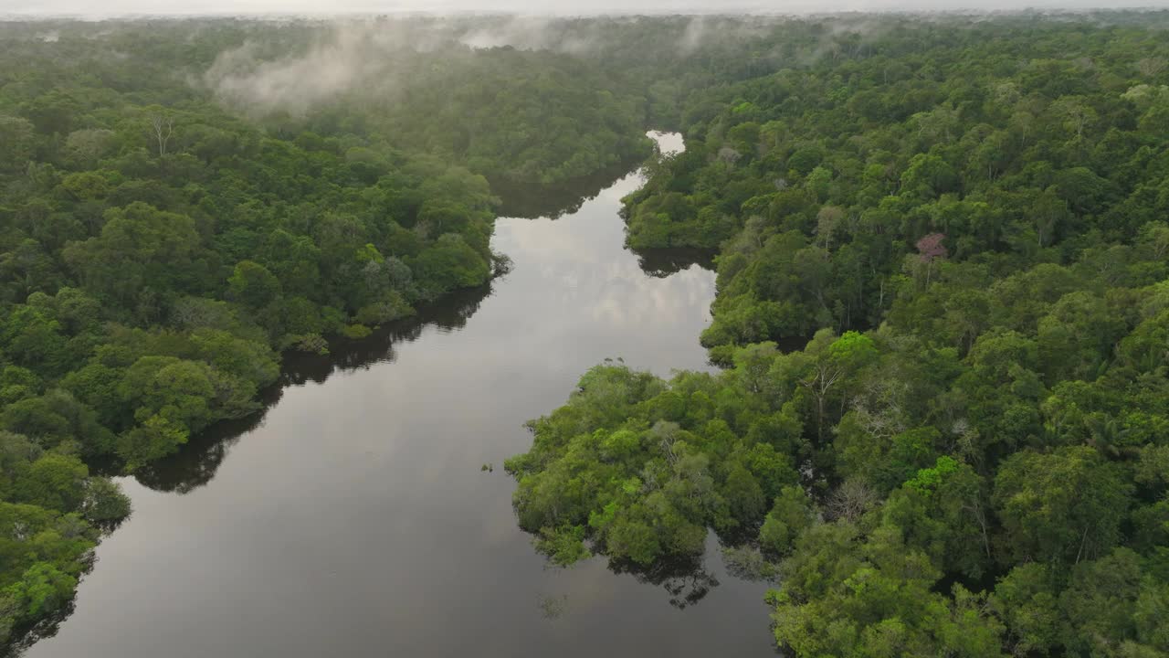 宁静的森林景观鸟瞰图，无人机在亚马逊河上向前飞行-玛瑙斯，巴西视频下载