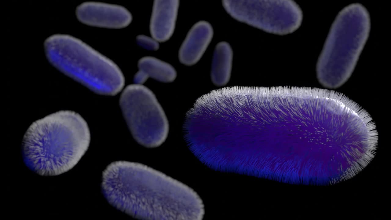 蠕动的细菌动画视频下载