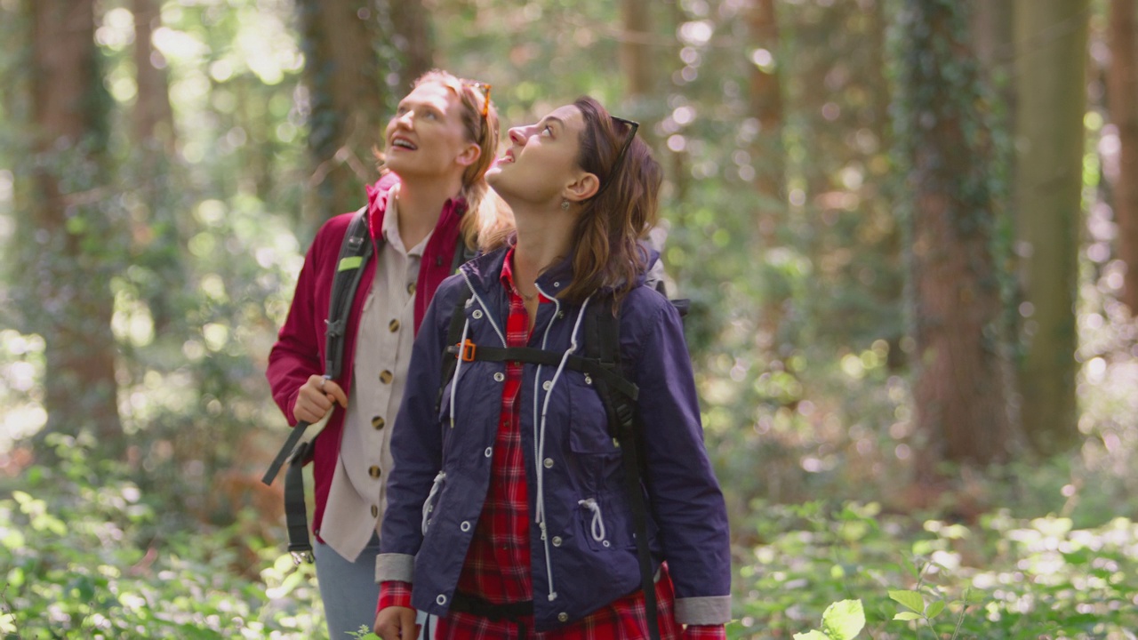 两个女性朋友在假期徒步穿越森林，享受大自然——拍摄的是慢镜头视频下载