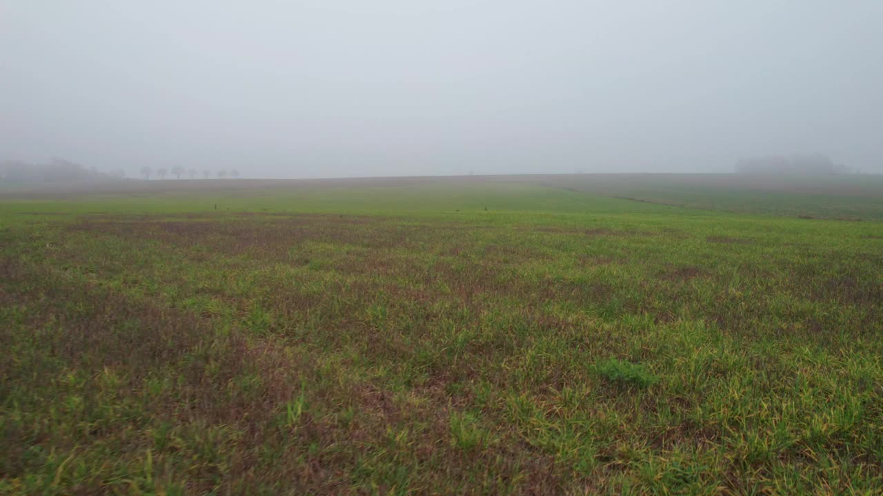 雾中的耕地。横向相机移动和小车拍摄。视频下载