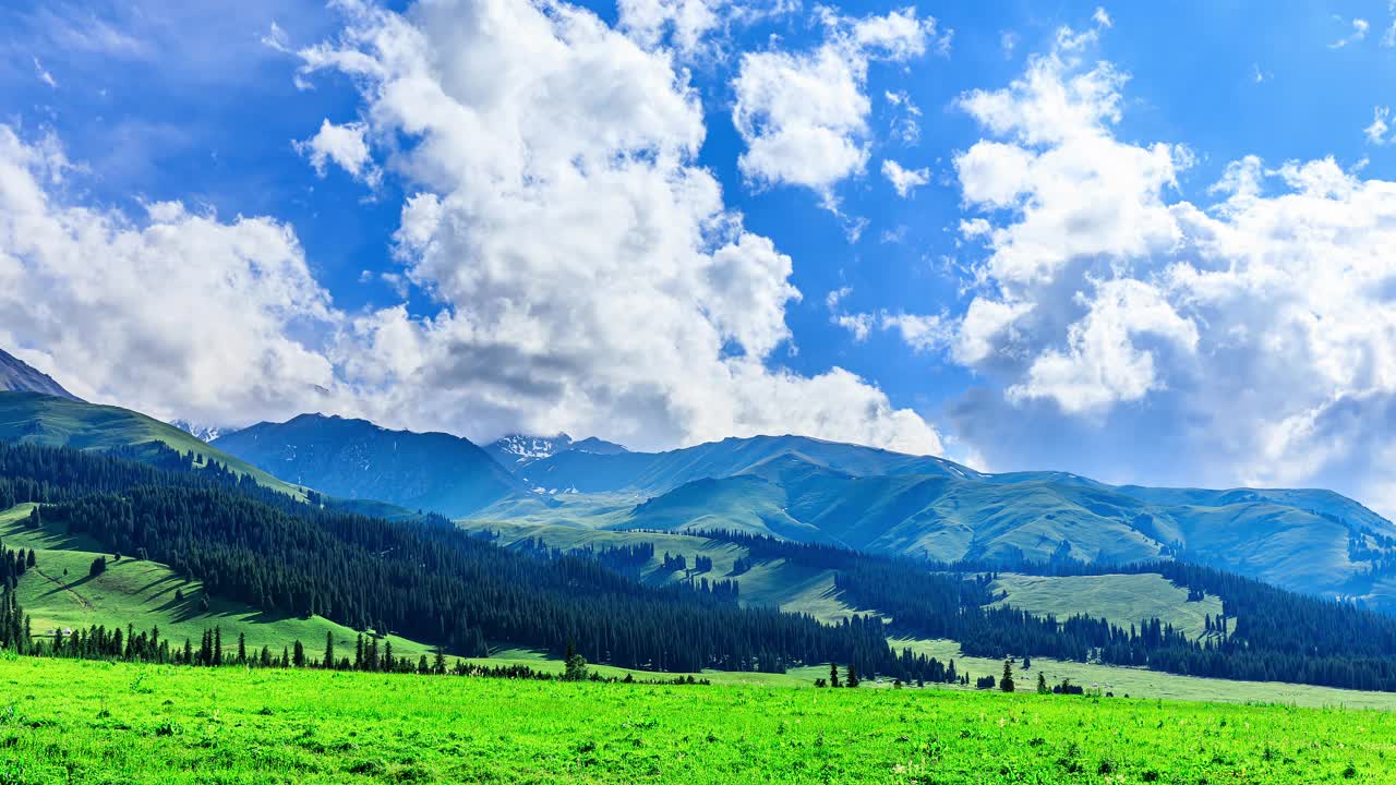 新疆的绿草地和山视频素材