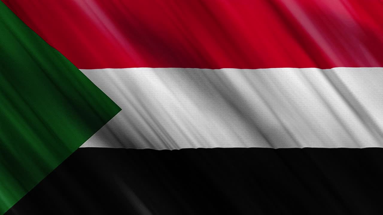 官方挥舞苏丹国旗，独立日概念，4K视频下载