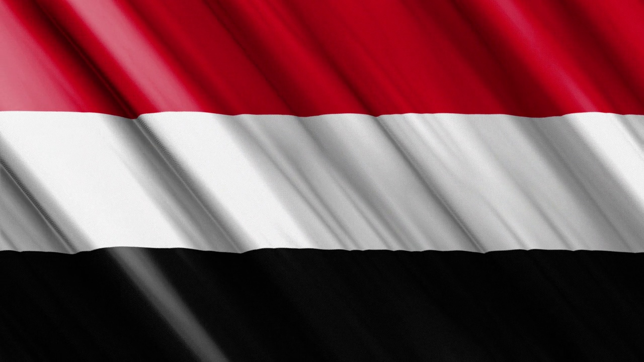 也门官方挥舞国旗，独立日概念，4K视频下载