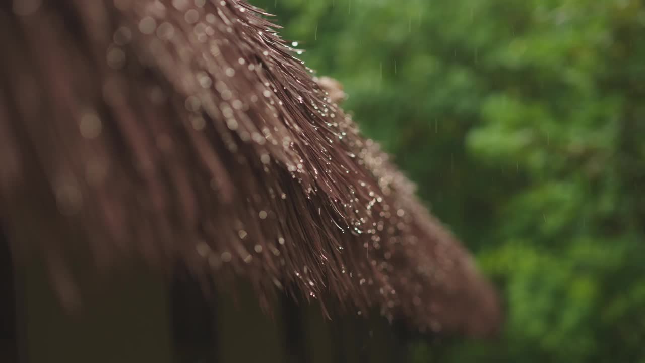 雨滴落在屋顶的选择性聚焦视频下载