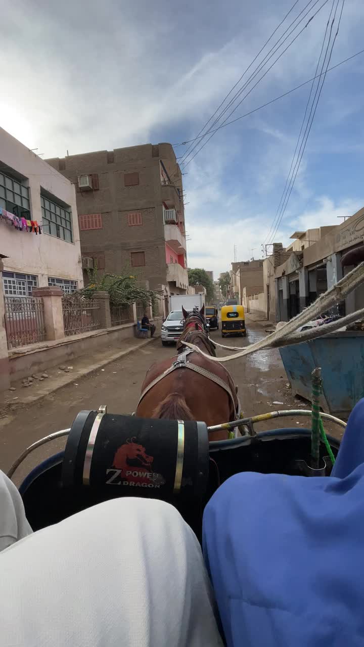 在埃及，骑着马的人视频素材