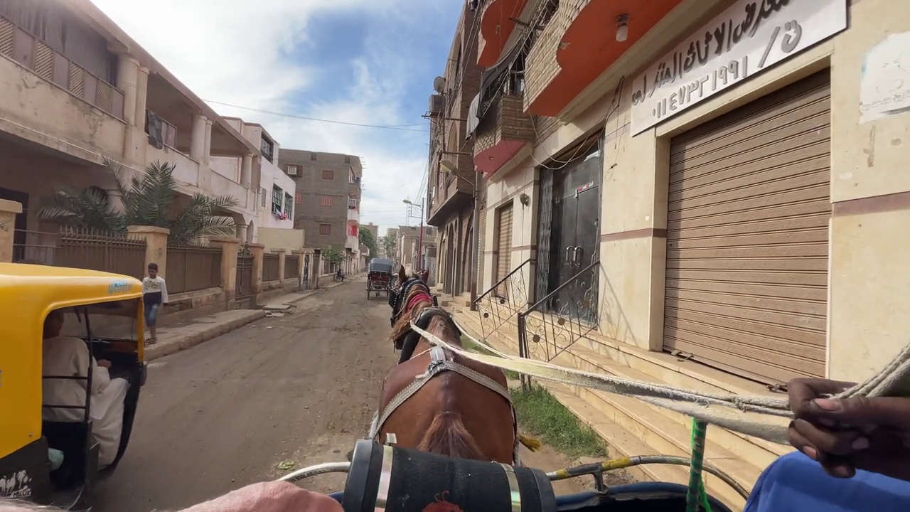 在埃及，骑着马的人视频素材