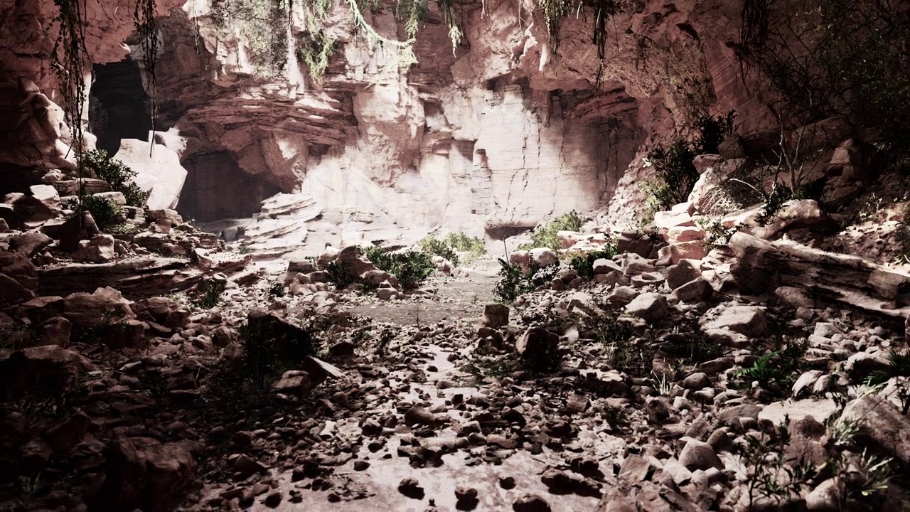 夏威夷雨林中的一条小径通往一个大洞穴视频下载