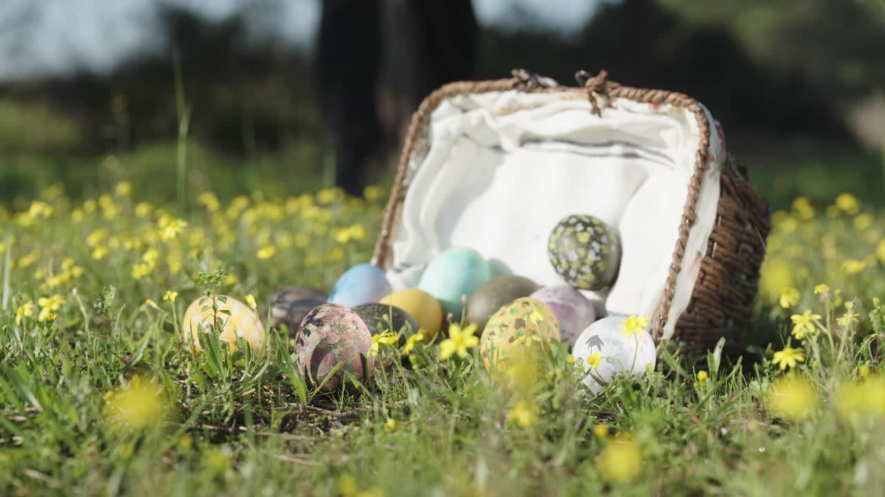 一个穿黑衣服的人走近篮子，把散落的装饰过的复活节彩蛋收了进去。在绿色的草地上，有黄花。视频下载