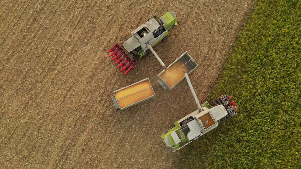 AERIAL画面正上方是两台联合收割机卸载玉米视频下载