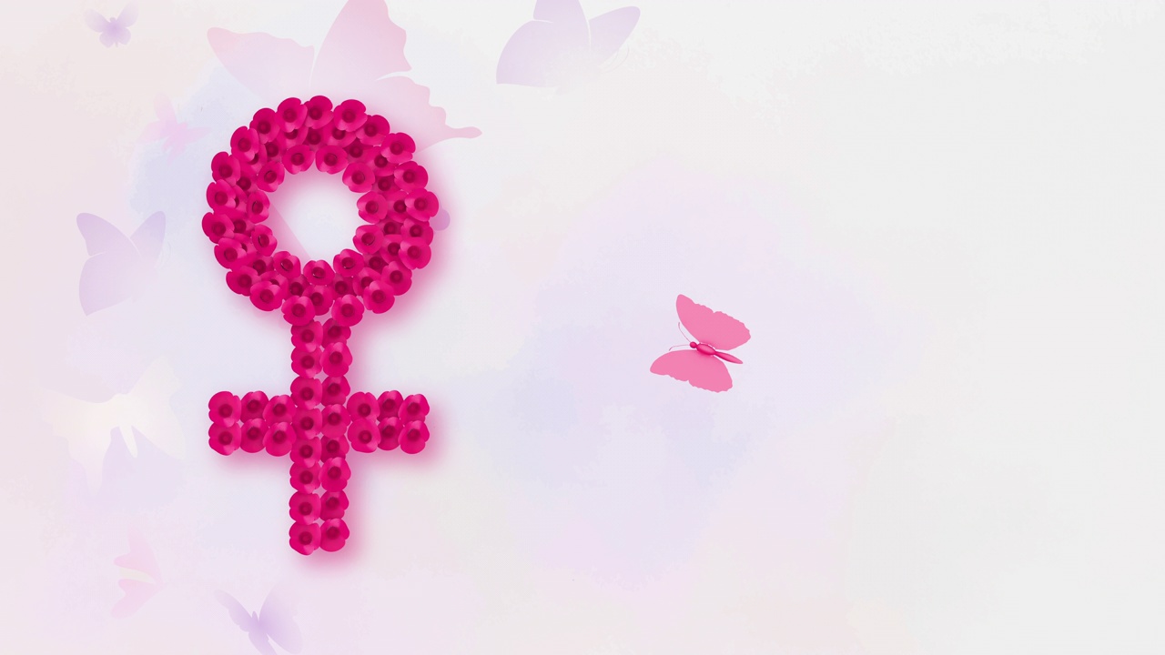 女人的性别象征与蝴蝶，国际妇女节的概念视频下载