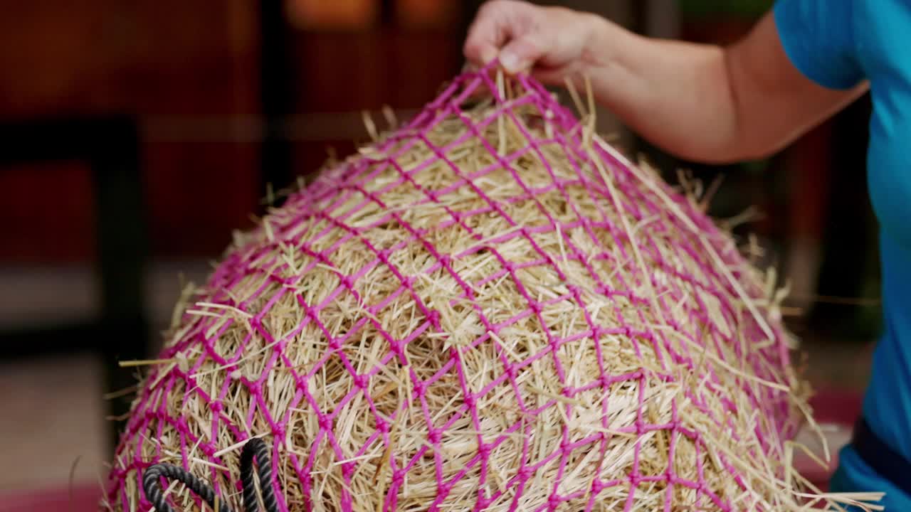 一个不认识的女人拿着装满干草的粉红色网袋，把它们放进一个大箱子里视频下载