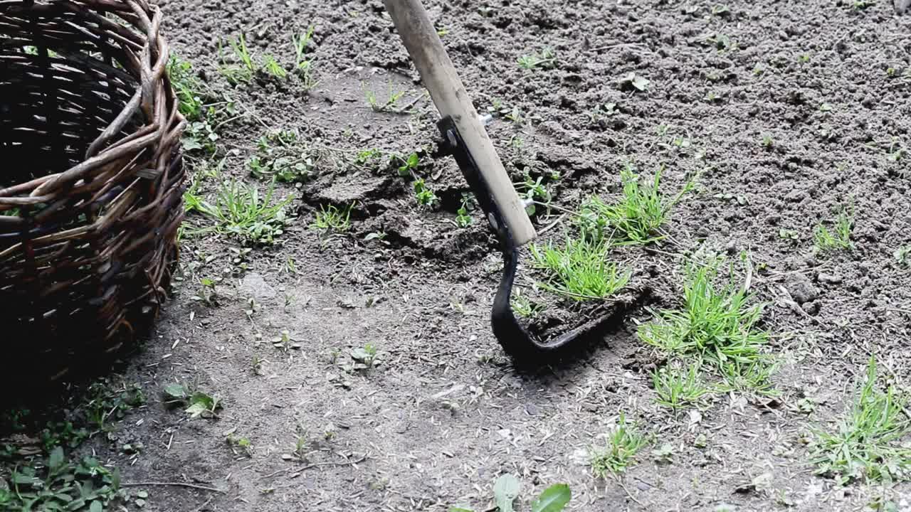 农具Fokina平切割机用于除草床，特写视频下载