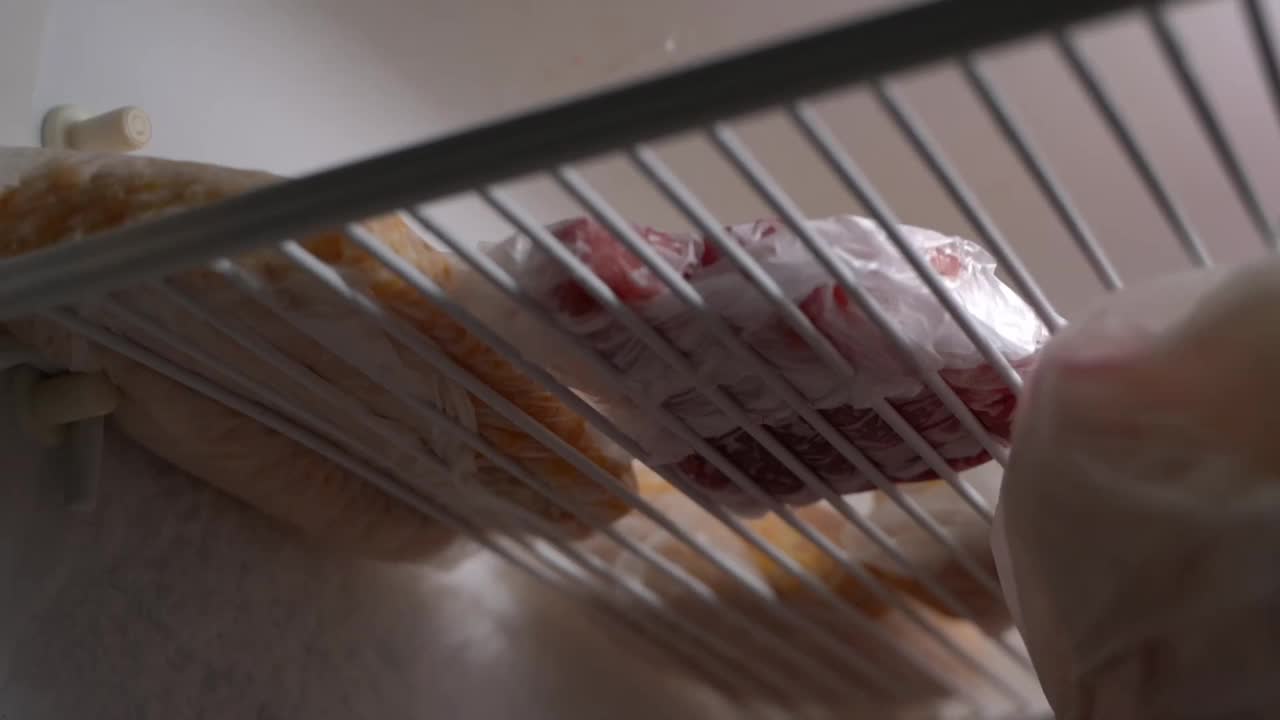 半空的冷冻架上有一块肉和玉米特写。冰箱里的食物储备。镜头移动流畅视频素材
